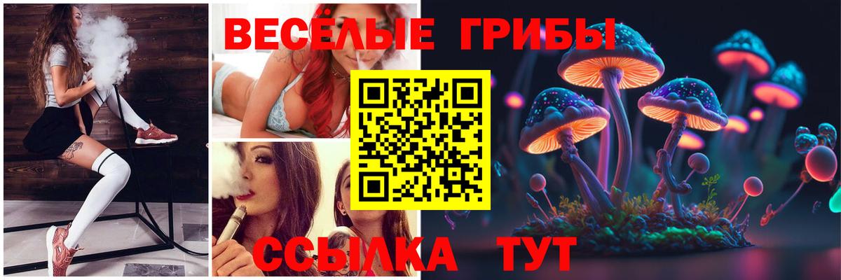 Свободный  Галлюциногенные грибы Magic Shrooms  Вход с VPN  Псилоцибиновые грибы Psilocybine cubensis 
